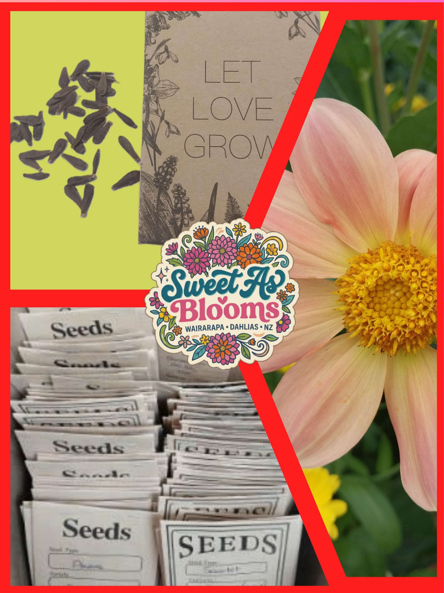 Seeds - Sweet As "Soft Sunrise Glow"