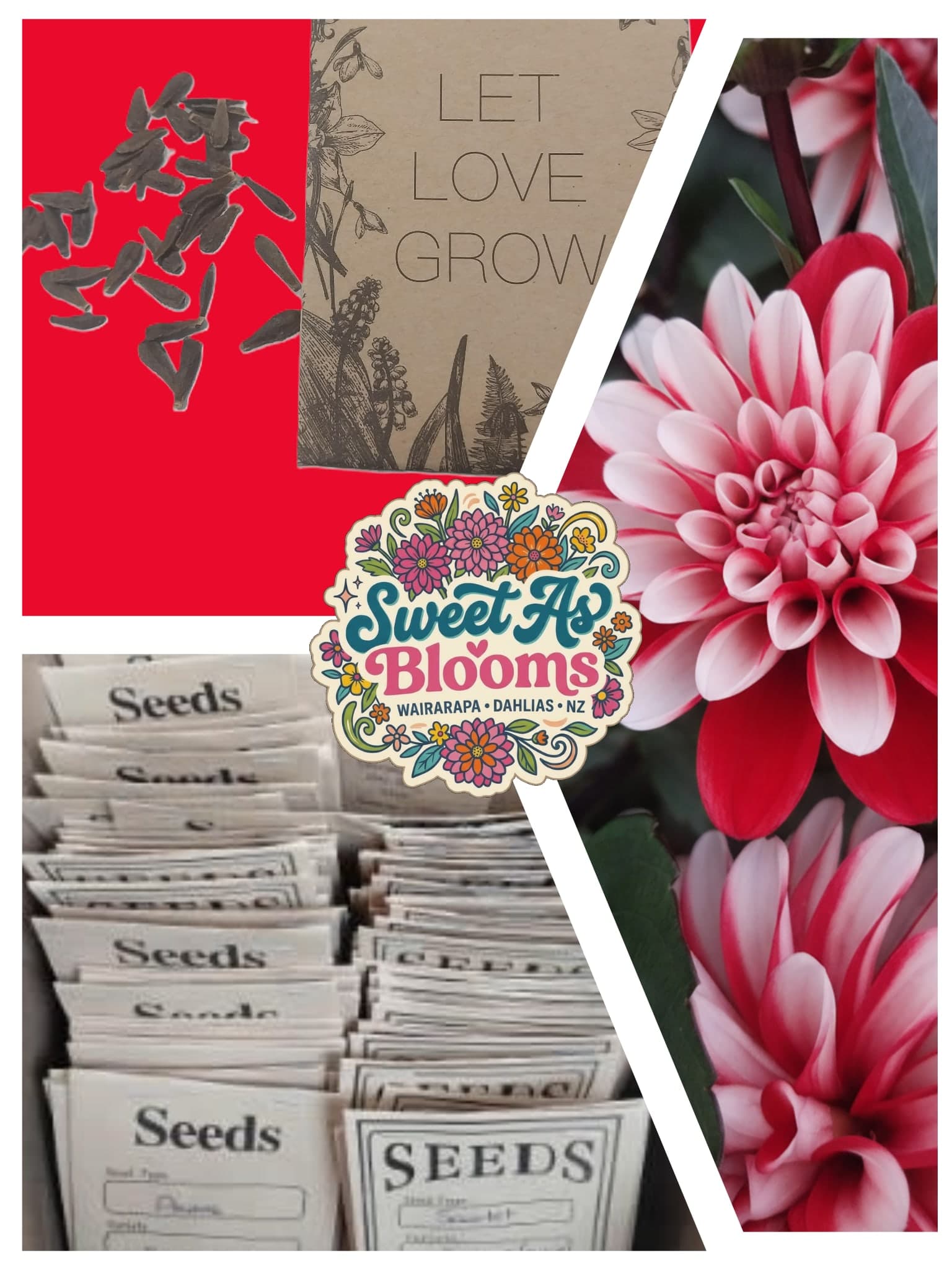 Seeds - Pacific Time