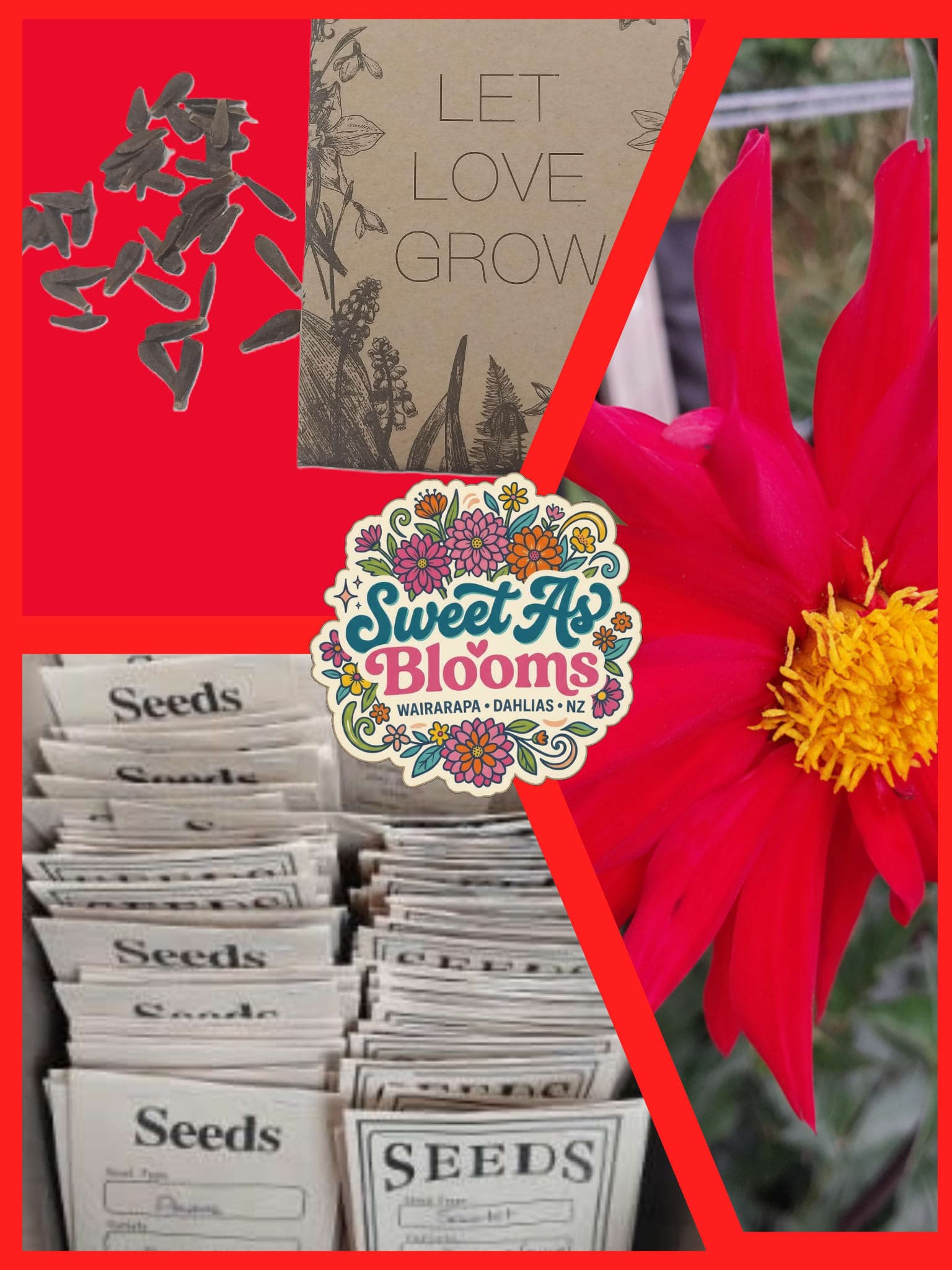 Seeds - Sweet As "Lachie J"