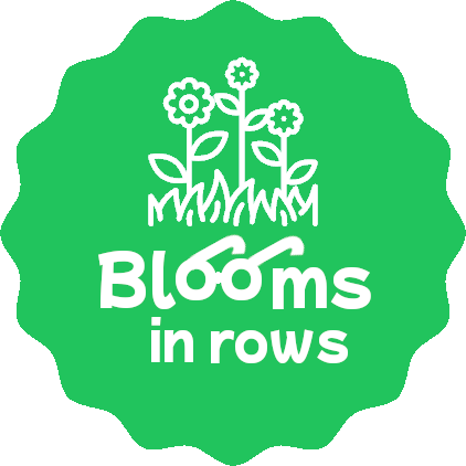 Blooms In Rows